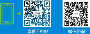手機(jī)端